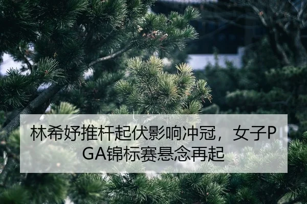 lin-xi-yu-tui-gan-qi-fu-ying-xiang-chong-guan-nv-zi-jin-biao-sai-xuan-nian-zai-qi-2-903.jpg