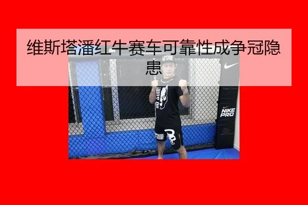 维斯塔潘红牛赛车可靠性成争冠隐患